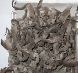 中药材 水牛角丝水牛角丝500克20元免费磨水牛角粉需留言