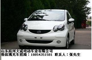 内燃观光车(鲁滨观光车)