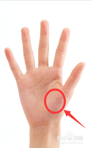 6  第三个"手掌",用力按压手掌上大鱼际最痛的位置.