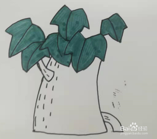 简笔画大榕树怎么画