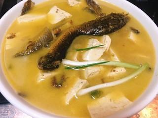 泥鳅炖豆腐 - 泥鳅炖豆腐做法,功效,食材 - 网上厨房