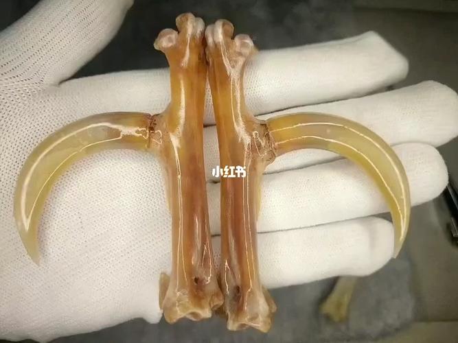 文玩鸡爪骨 #兖州_文玩_鸡爪_甜蜜蜜葡萄采摘农场攻略