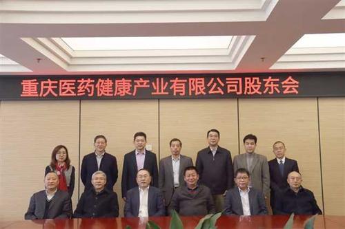 重庆医药健康产业有限公司股东会