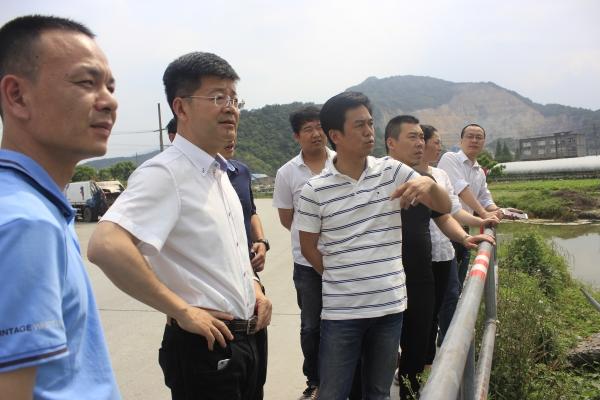市督导组到潘桥街道督导剿灭劣v类水工作