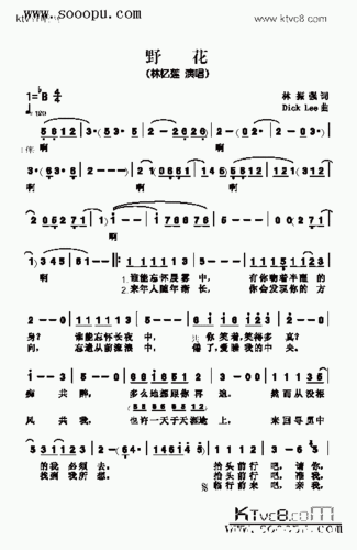 野花歌曲类简谱
