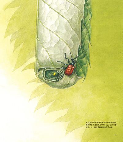 编辑推荐   ★不朽的科学经典  优美的文学著作《昆虫记》不仅是一部
