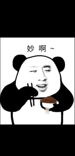 生活 日常 盘点那些熊猫头表情包 如今熊猫头表情包越来越火,里面的