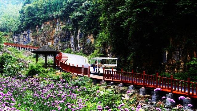 油杉河门票,大方油杉河攻略/地址/图片/门票价格【携程攻略】