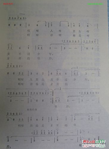 尕妹是才开的牡丹