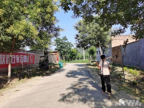 冠县乡韵·桑阿镇大花园头村
