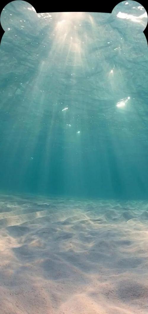 小耳朵刘海壁纸苹果手机正合适