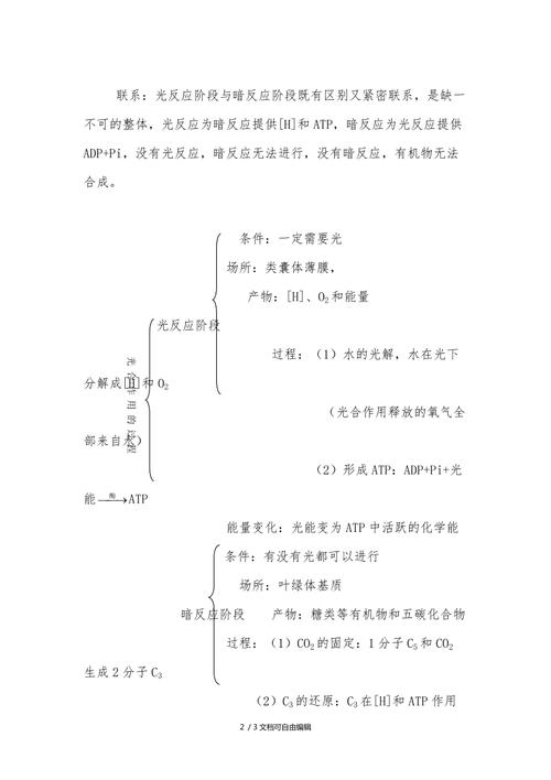 光合作用知识点总结