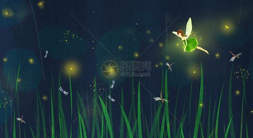 夏日夜晚的萤火虫插画图片下载-正版图片400201614-摄图网