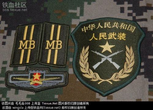 求各位大神解答,这是啥军衔?