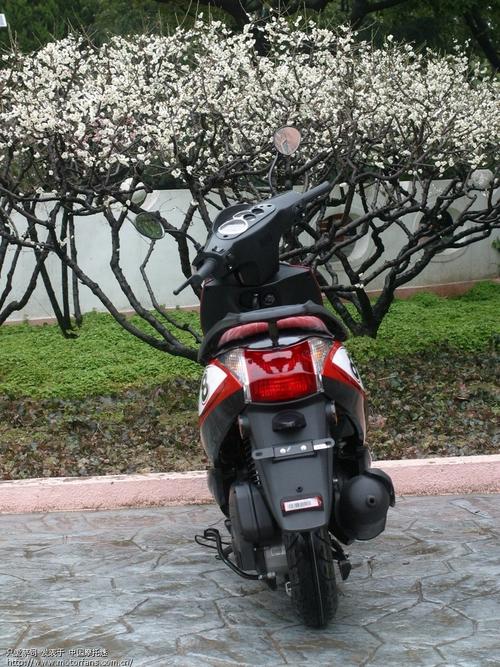 标题: 请教:比亚乔fly50对比银帅哪辆车性价比高