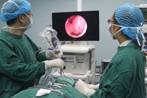 鼻息肉摘除术,鼻窦开放术,鼻甲等离子消融术,鼻中隔偏曲矫正术,中耳