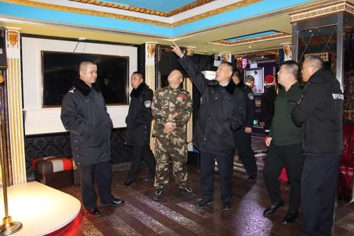 望奎县公安局开展社会治安巡逻清查专项行动