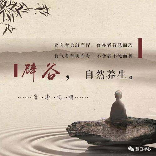 《智慧养生辟谷》慧日国学