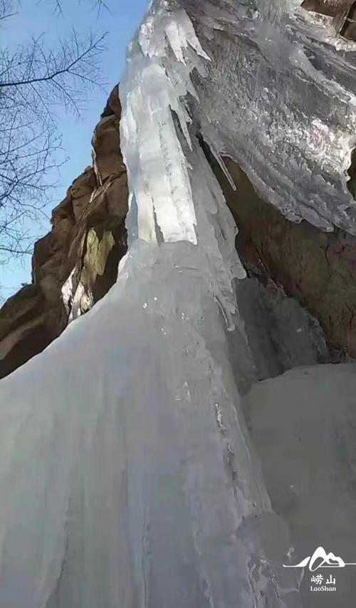 全域旅游崂山裁冬雪为绸揉春风作画皆赠予你