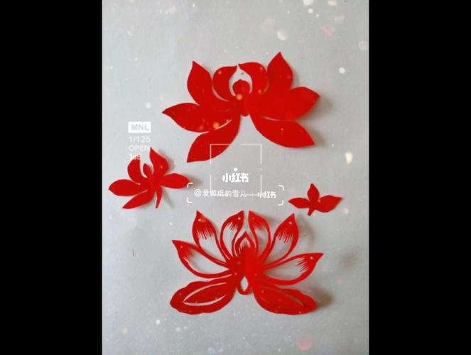 荷花_剪纸_兴趣爱好_手工