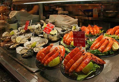 外教老师介绍澳洲饮食文化特点