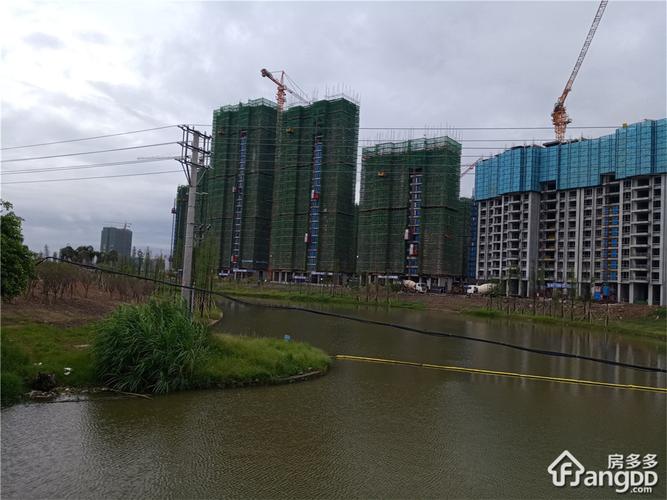 碧桂园世纪城怎么样_户型图_房价_开盘信息 - 阳江房