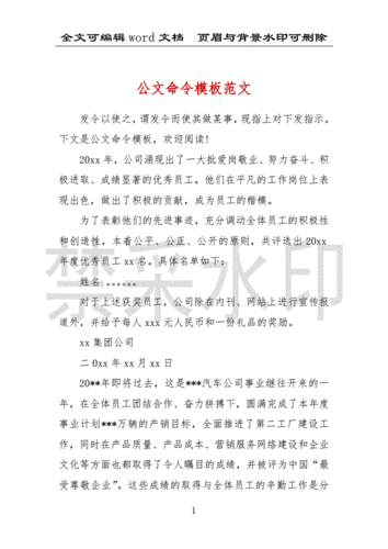 公文命令模板范文 .docx 3页