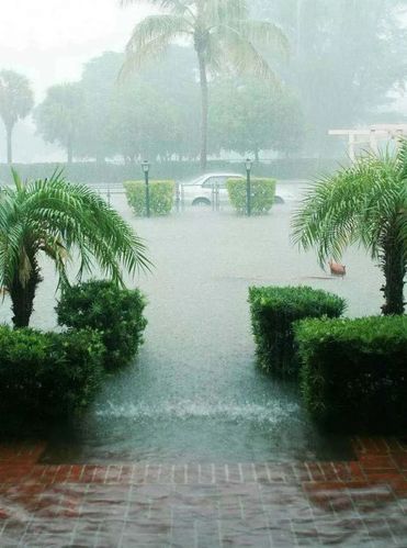 每日题诗(20)夜半惊雷动地天,卧听风雨扣廊沿