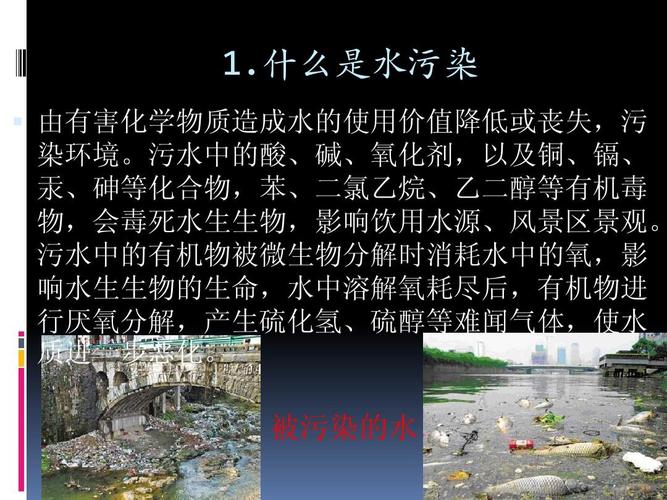 九年级化学-水污染的原因,危害及防治方法ppt