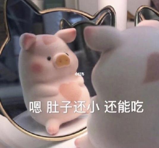 胖表情包_表情包_冬天去哪玩_我最爱的表情包_素材