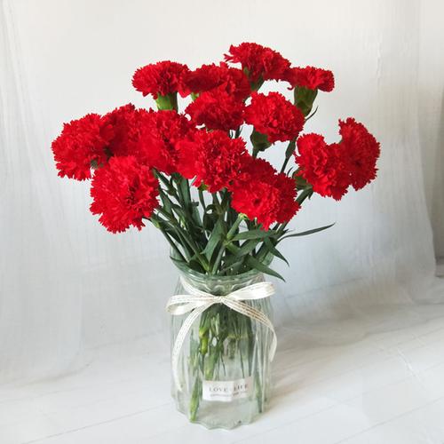 单头康乃馨随机五色混搭 10支(送保鲜剂)