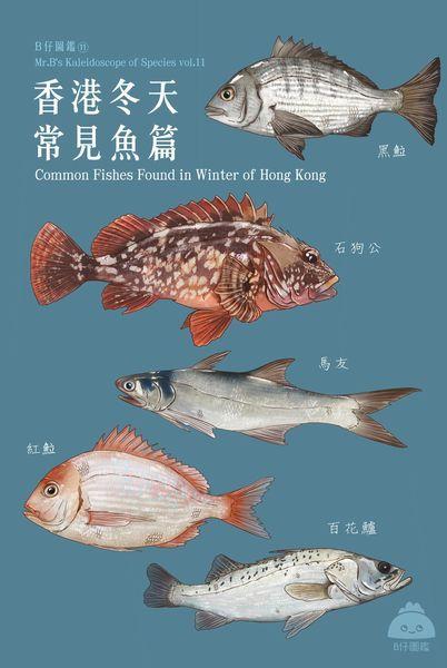 冬天常见的鱼