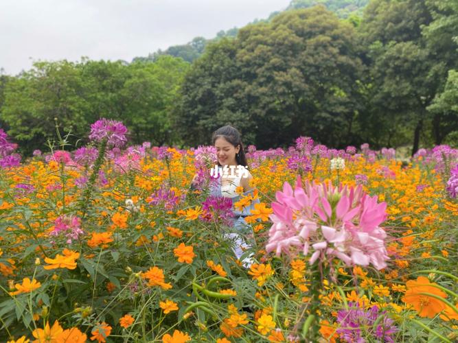 广州增城二龙山花园半日游_恐龙_摄影_出行_人文风光