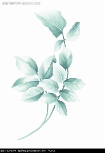 插画—青色枝条上的青色叶子psd分层素材