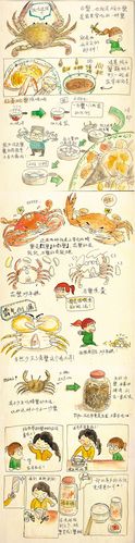清蒸黄鱼,咸蟹泥螺 手绘宁波美食 她为家乡代言