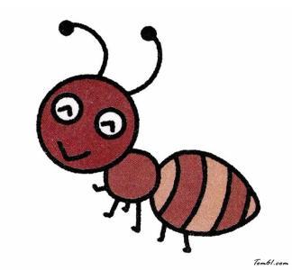 蚂蚁简笔画带颜色简单