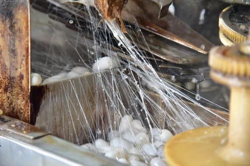 佛山这家50多年历史的缫丝厂,变身广东首家蚕桑丝织研学基地!