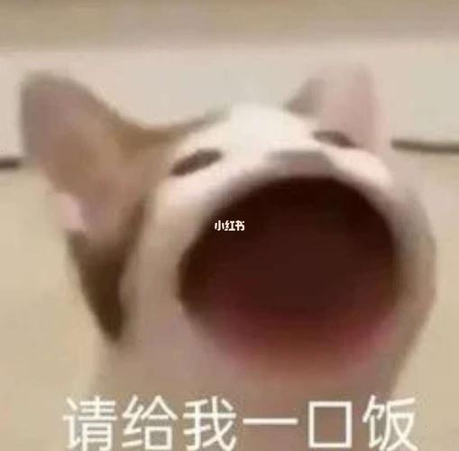 吧唧吧唧_表情包_素材_表情包