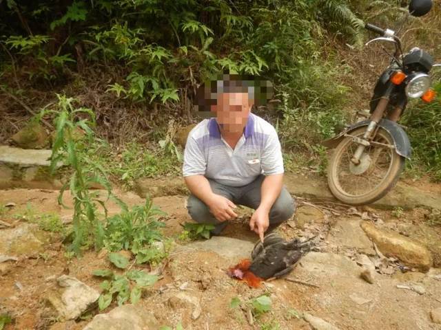 一男子清明扫墓抓了一只"野鸡",结果大单了…_手机搜狐网