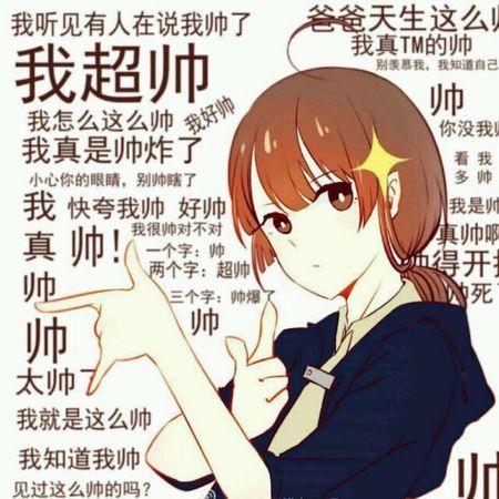 求一个动漫表情,上面是一个女孩子,头发是褐色的,旁边写着我真帅