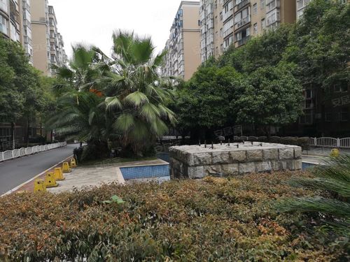 玉龙国际花园,宁乡大道-长沙玉龙国际花园二手房,租房