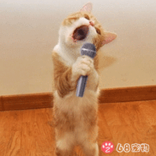 68宠物app微信qq搞笑萌宠物表情:唱歌