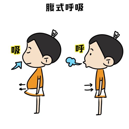 对于这时的呼吸,可通过第1次大口的吸气,接下来需要你屏住呼吸坚持3-5