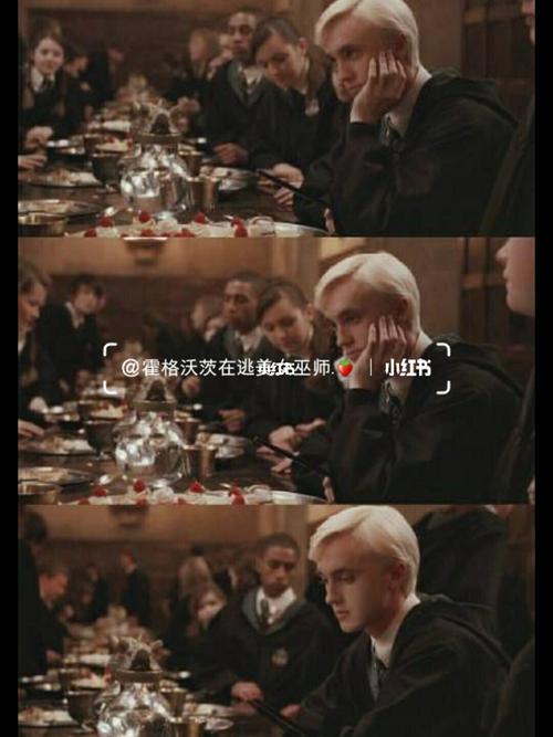 德拉科·马尔福年轻时候迷人的样子~_德拉科马尔福_影视_电影(图文)