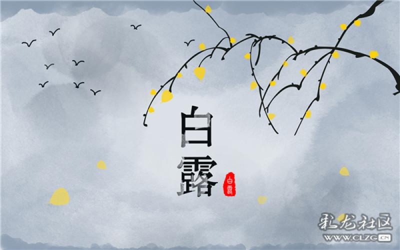 白露,陈白露-彩龙社区