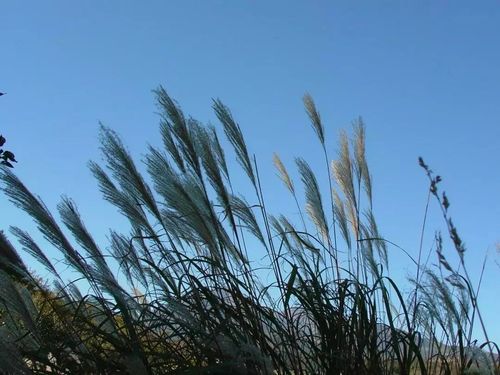 一个大蒸笼中,蒸出全身污垢;再如舒展在温水之中,此时温风徐来亦如酒