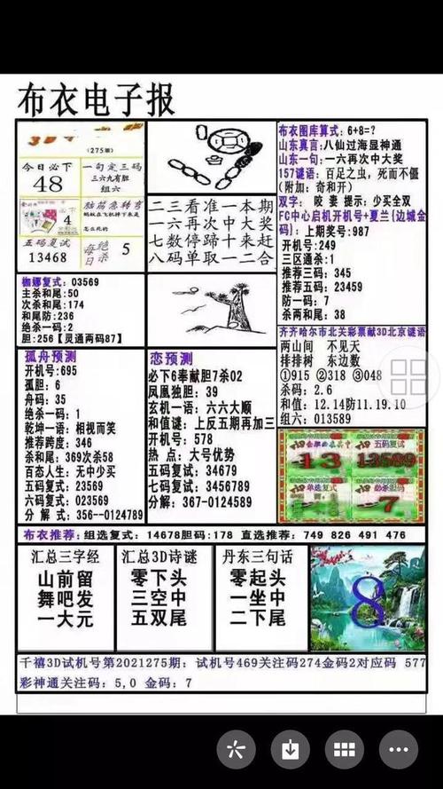 3d275期晚报参考