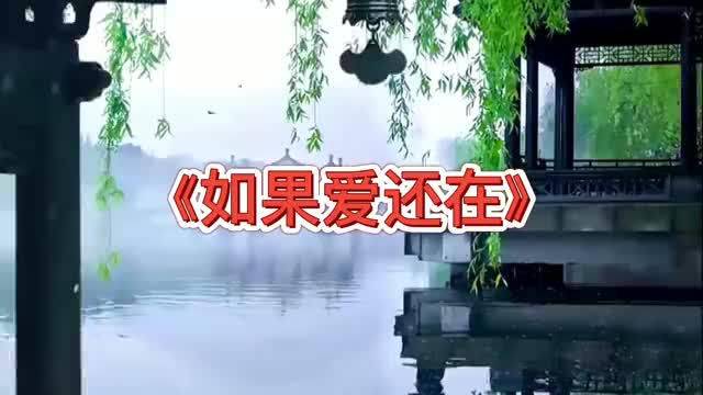 雨中百合原唱《如果爱还在》,伤感情歌,缘聚缘散早有安排