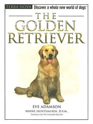 dvd training dog with retriever golden the 预订