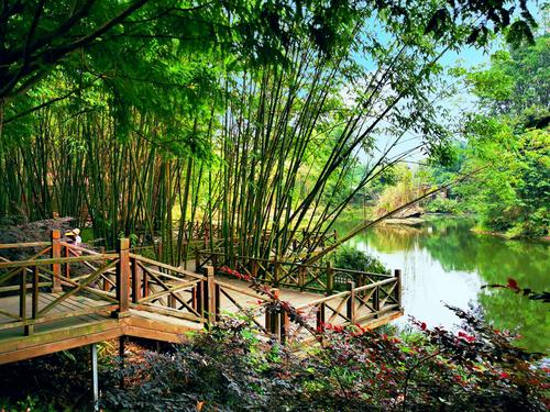 其它 翠绿斑竹林 写美篇   成都新津斑竹林景区自然风光秀丽,生态环境